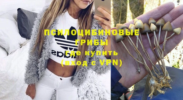 кристаллы Арсеньев