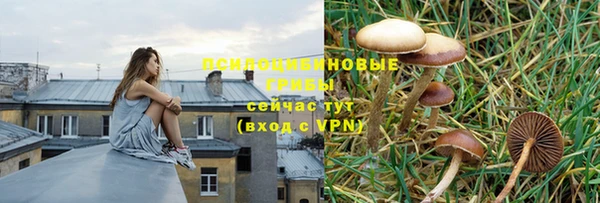 кристаллы Арсеньев
