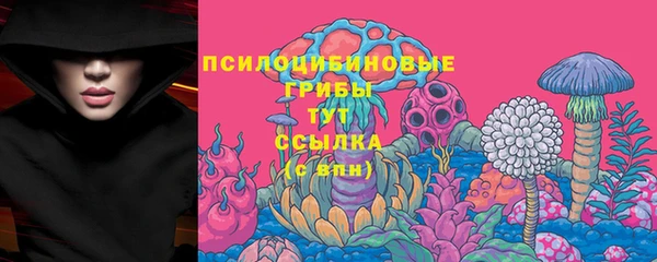 прущие крисы Аркадак