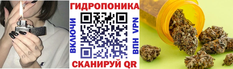 kraken зеркало  Муравленко  Шишки марихуана OG Kush  купить закладку 